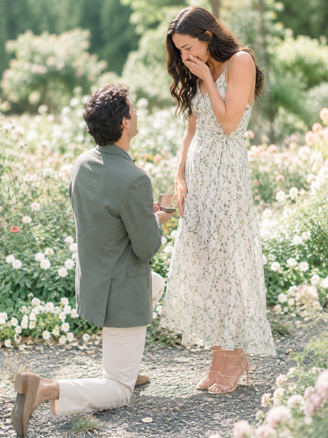 Proposal